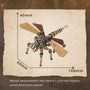 3D metal mechanical dragonfly model size